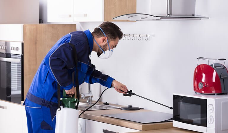 residential pest control