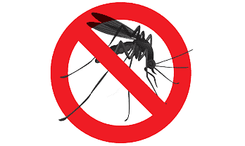 Mosquito spray at home