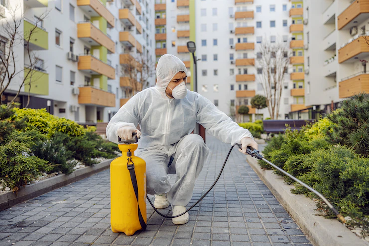 meaning of pest control