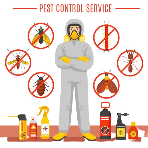 best pest control in mumbai