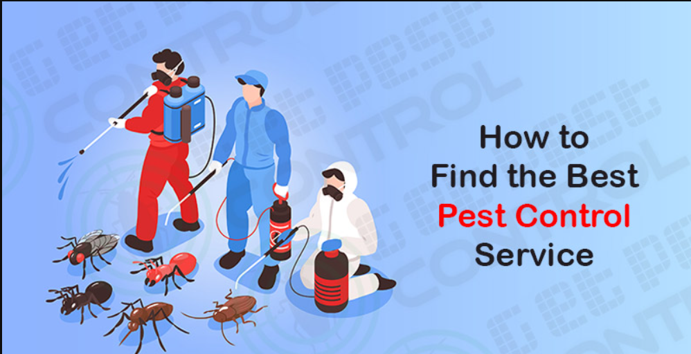 pest control cost per visit