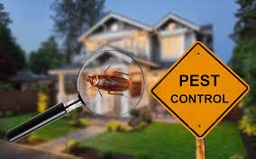 How Much Does Pest Control Cost