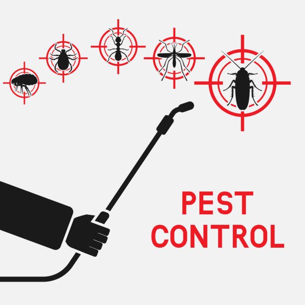 Which Type of Pest Control is Best?