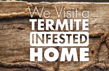 termite treatment in mumbai