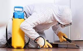 pest control in noida