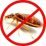 bed bugs treatment near me